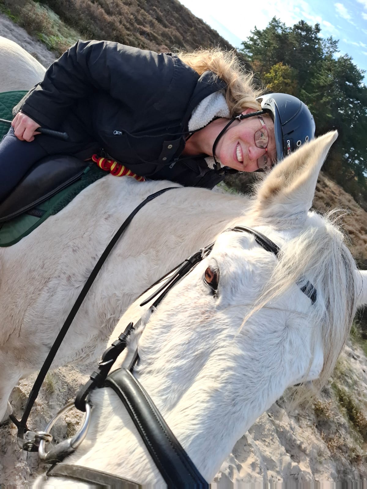 388399e9 38ab 4798 ab6c 95c69d7ce738