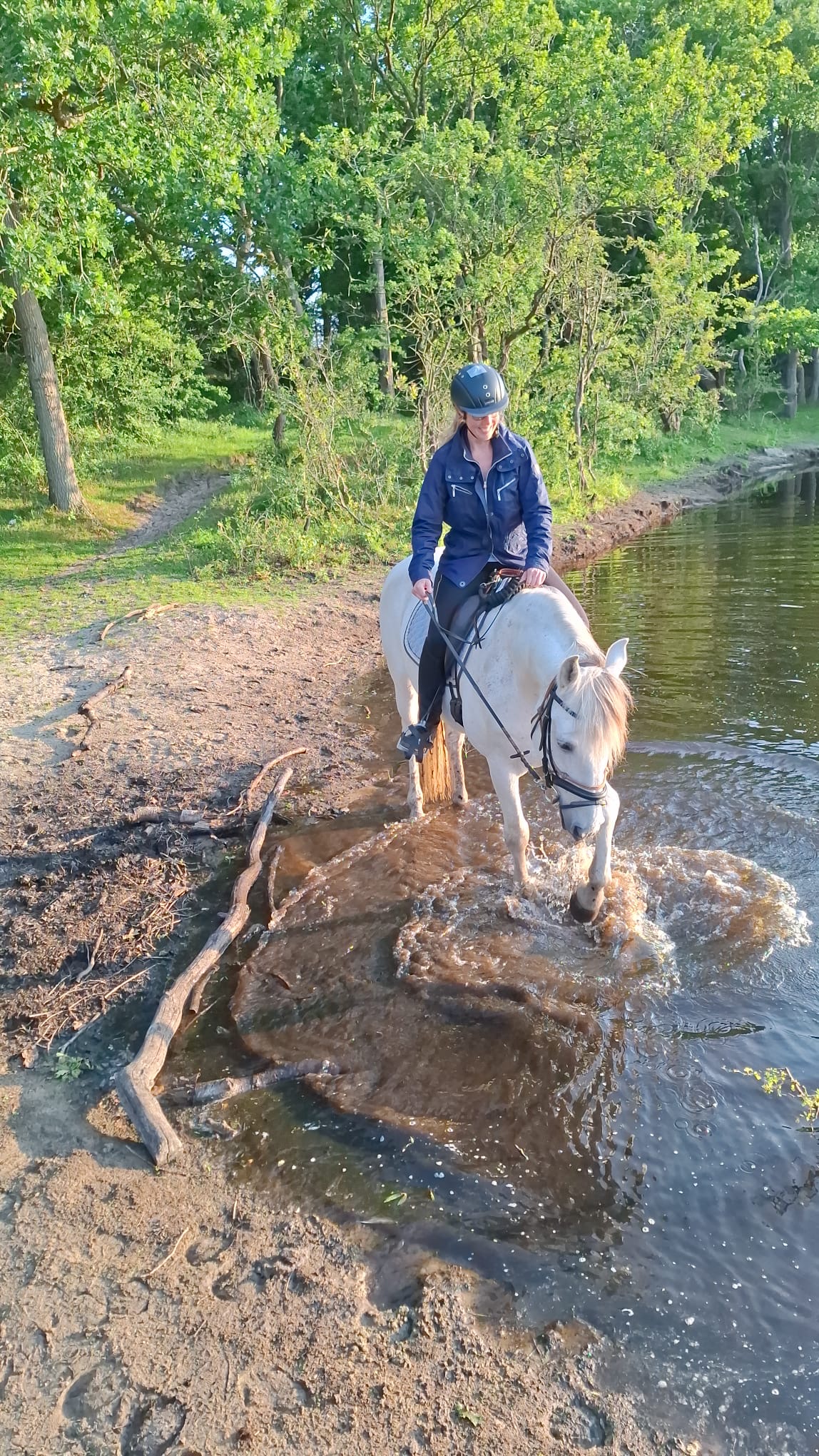 de6a6cf1 7277 4c27 bc70 99c8ad0ae454