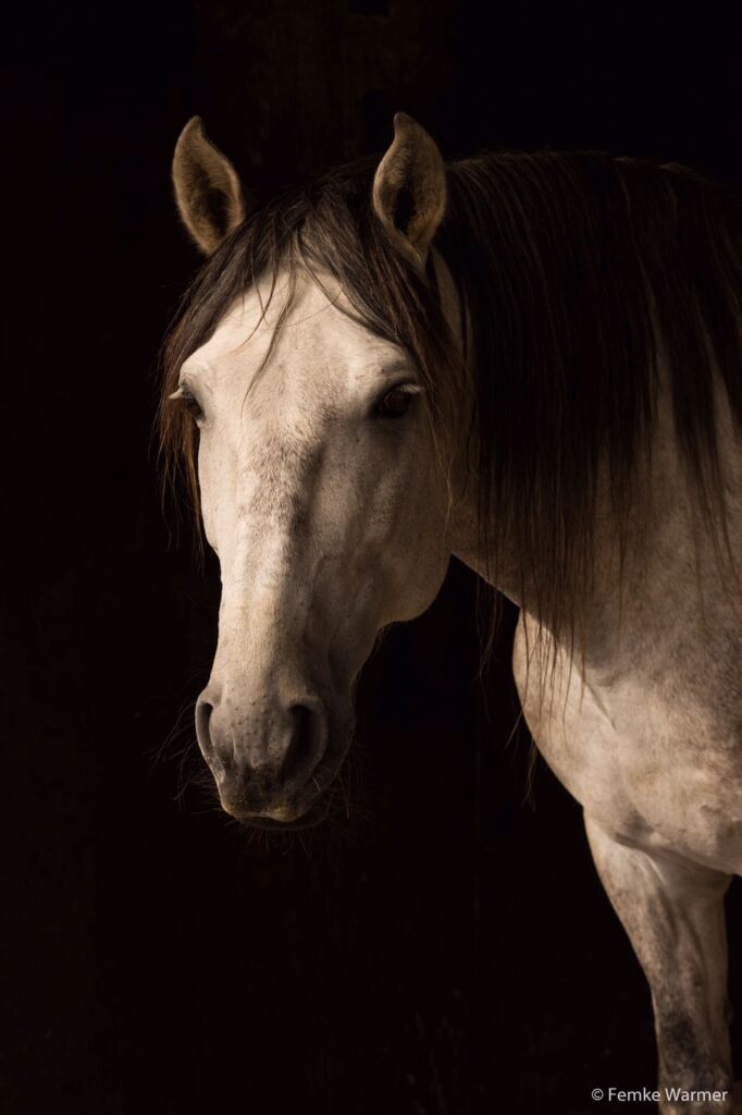 fea17167 67e6 4b75 a0fa 5d7acc19ec8c