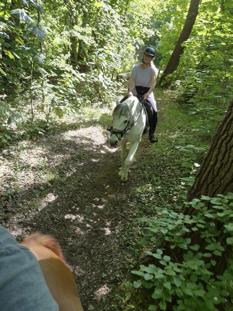 1dc19108 db07 4945 9385 532d9fa2df86