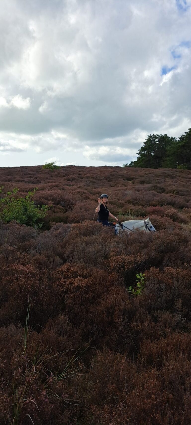 564580d2 0b71 4154 8685 ef4f234b311a