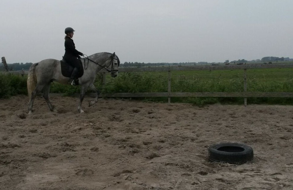 711ed0b1 edb4 41f8 96d9 49e26467a713