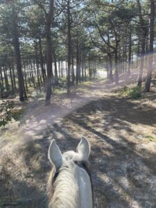 Steeds sneller naar huis