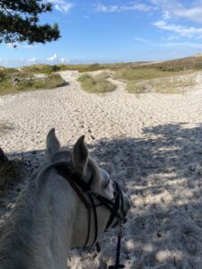 De Kerf, de zee in zicht!