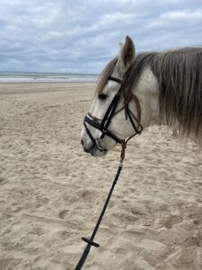we zijn op het strand!