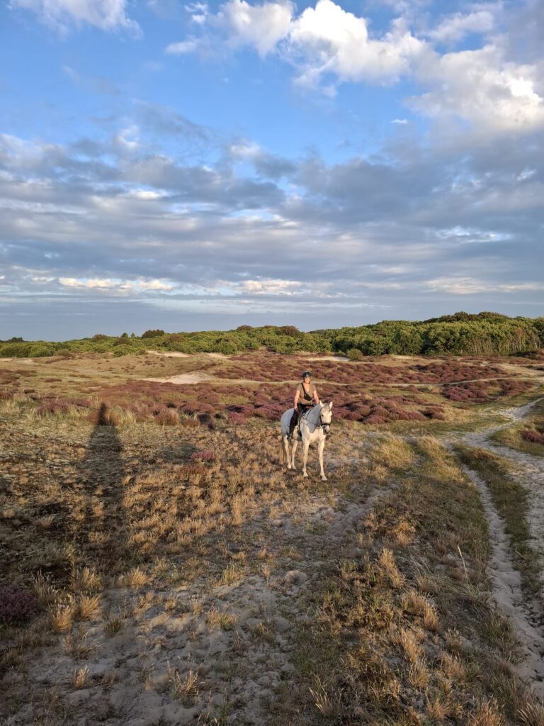 ac1c6d3e 94cb 4eb5 ae46 b1d52a3aed9c