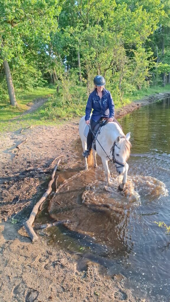 de6a6cf1 7277 4c27 bc70 99c8ad0ae454